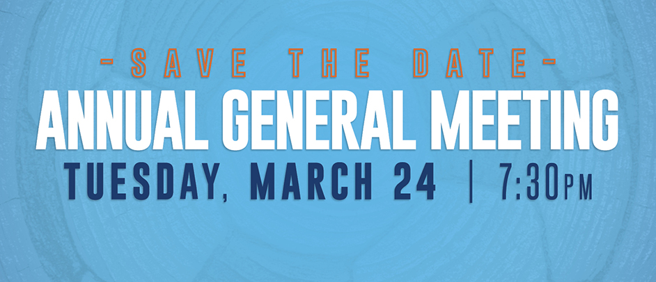 at the Bingham Creek Library